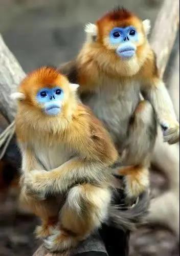 微信图片_20220218221203