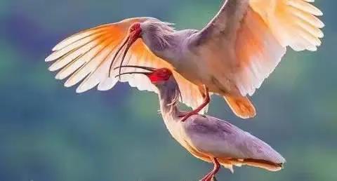 微信图片_20220218220054