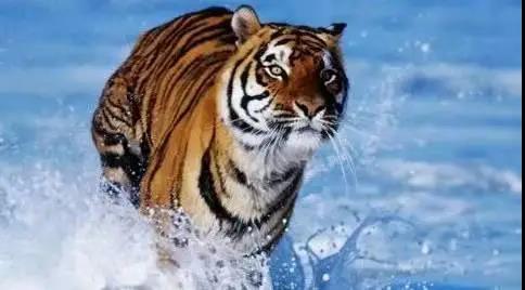 微信图片_20220218220316