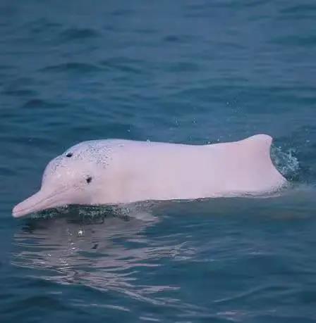 微信图片_20220218220532